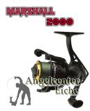 Marshall 2000